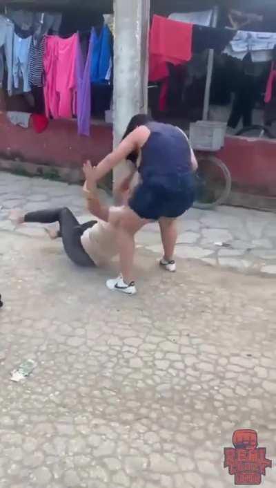 Street fight (with titties) 