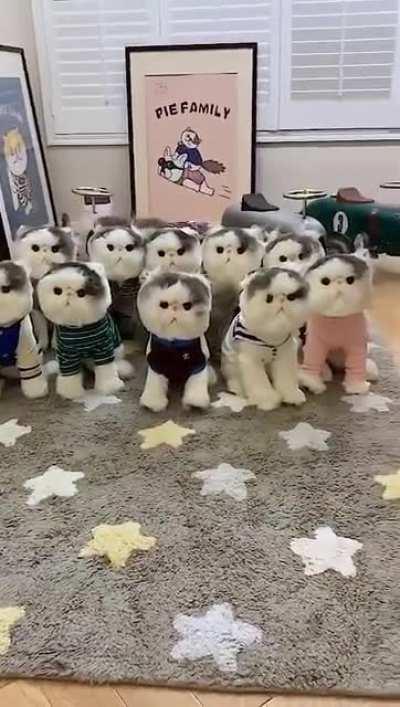 commander and conscripts...