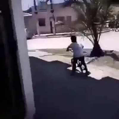 El cumbia ninja 😎👌