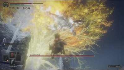 Bruh this dumb bird just juked me out and disrespected my entire existence I think I have to delete the game after this. Thoughts?