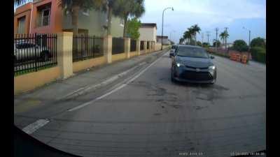 [VIOFO A119] FL-USA Big Truck, Tiny Brain