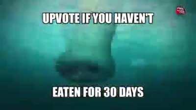 Perd&oacute;n si pido karma positivo, as&iacute; es el momo