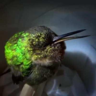 Probably just downloading some sort of update.