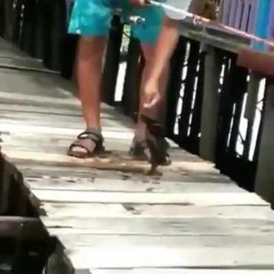 Secure that fish before anything happens