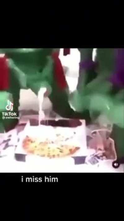 Turtle Power (Follow Up to the dog getting smacked)