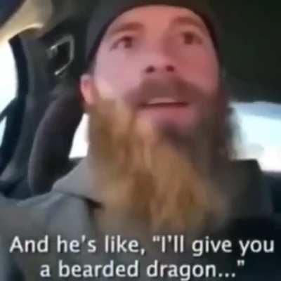 Free Bearded Dragon