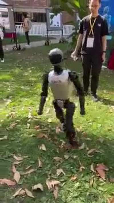 Watch This Robot Learn to Stand