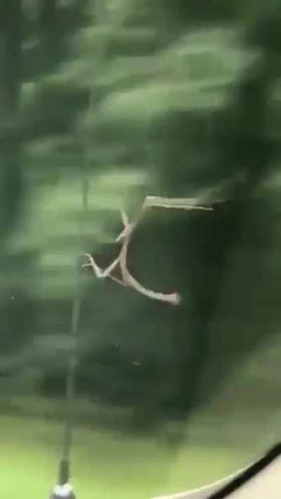 Danger Zone……hang in there, Imgurians