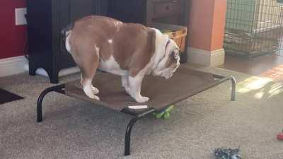 The struggle is real…