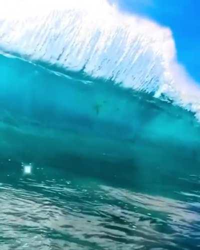 That's some damn clean water