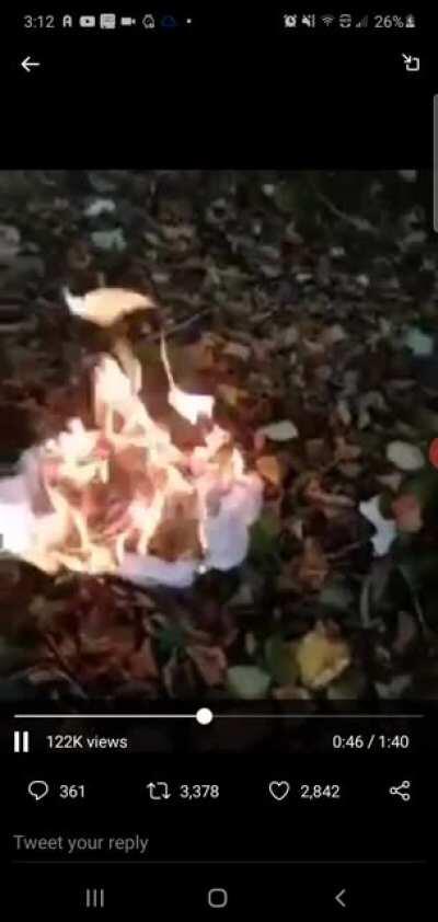 This was posted on Twitter and was immediately flagged and taken down. Made a copy and posting it here. I don't know the source. Please forward to the right people for investigation. This is wrong to let people steal and destroy 80 Trump voters. Probably 