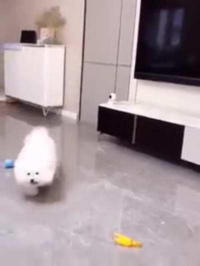 That is one smart dog to be able to figure that out what a good baby :-)