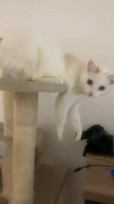 What’s the point of this posture?