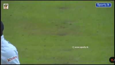 Another masterstroke by mighty Bangbros !! 