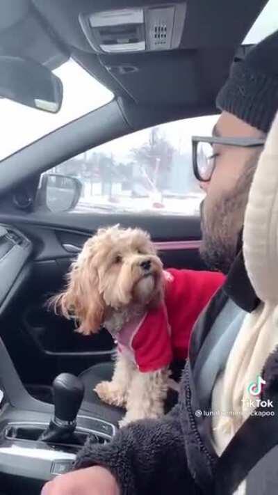 Quietest microbork I’ve seen