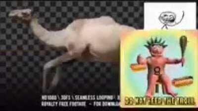 تجميع ضرطة القرف i feel this is more low quality then my other ones, perfection تجميع ضرطة القرف