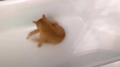 Help! I'm going down the drain!