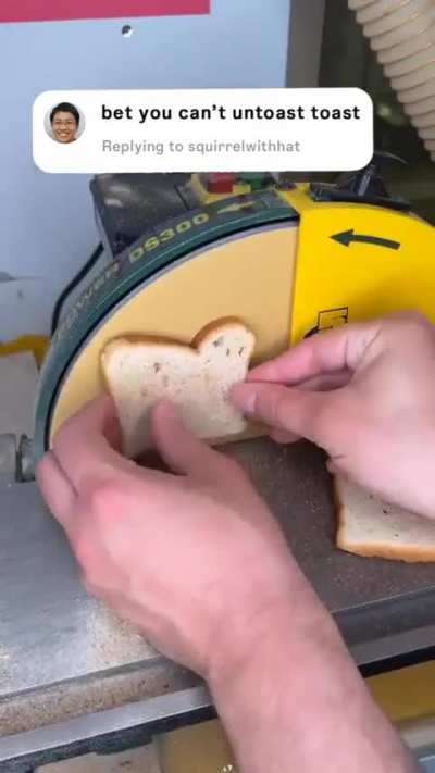 The Untoaster, breaker of world physics