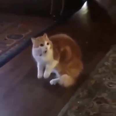 THEY ARE ALL AROUND MEEE