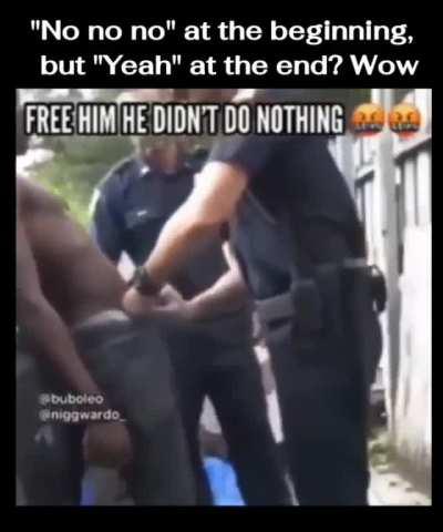 Damn cops just wonât stop 