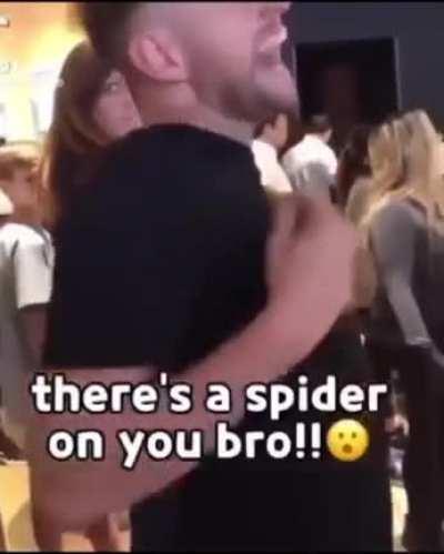 wordington arachnophobia