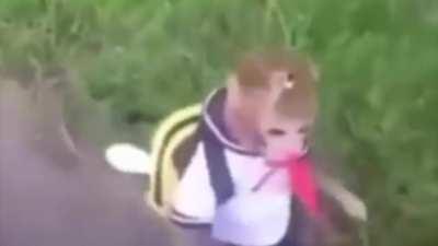 I made a monkey montage, its short but i think its pretty cool