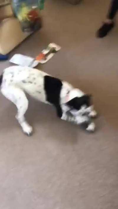 oh so excited for visitors!