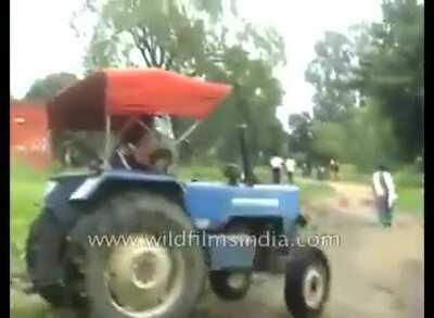 GTA: Episodes Of Indian Aunties