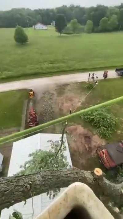 Skill is better than strength