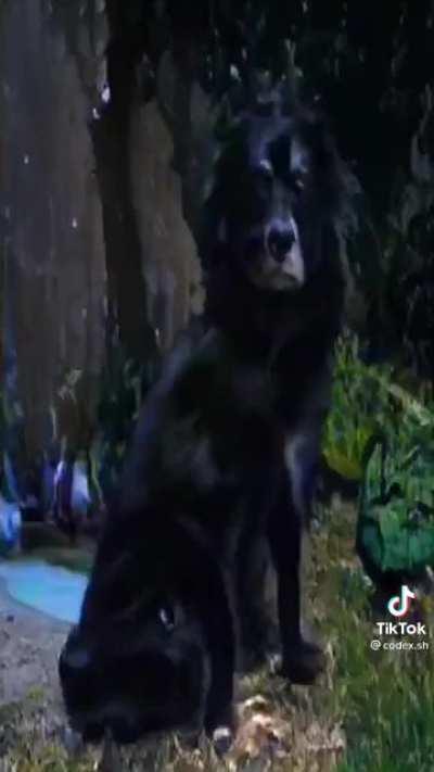 An AI that's developed speech based off of listening to discord calls and watching sailor moon