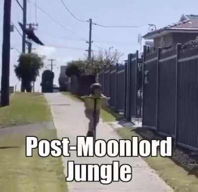 Death Mode Dragonfolly 😩😩