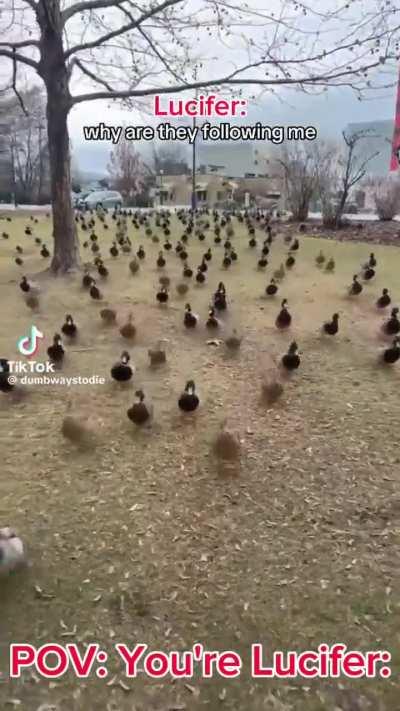 POV: you're lucifer: