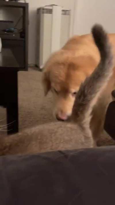 Really need someone to talk to