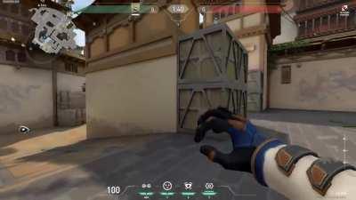 Cypher Setup For A Site Haven with good postplant camera and one way for long