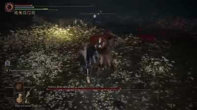 quick tips on a less talked about mechanic with Malenia, see a lot of people get punished by this