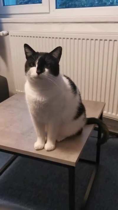 Hey! Hey! Hey! Hey! Hey...