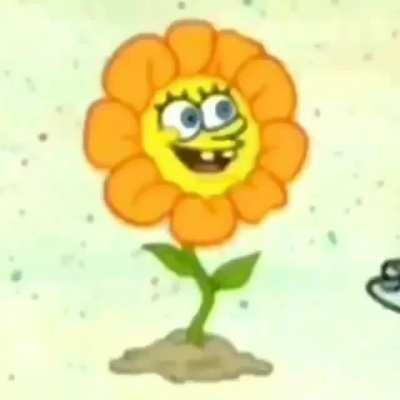 flowey