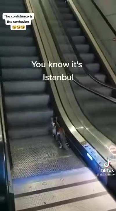 Good thing someone helped him out