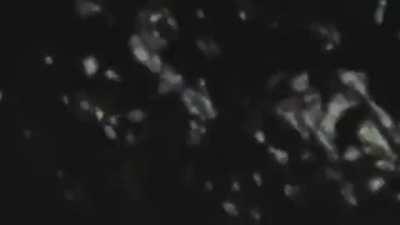 What's the background of the website from?