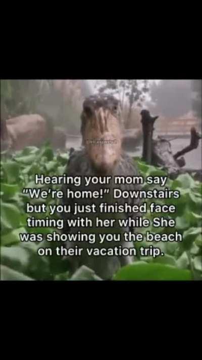 You’d seen the memes, but you never thought it would happen to you. Stuck, contemplating your next move, your heart begins to speed up as your hear footsteps coming up the stairs. They don’t match the sounds of your mother’s…or anything bipedal…