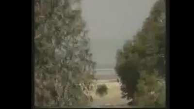 Long live Israel and the holy land!