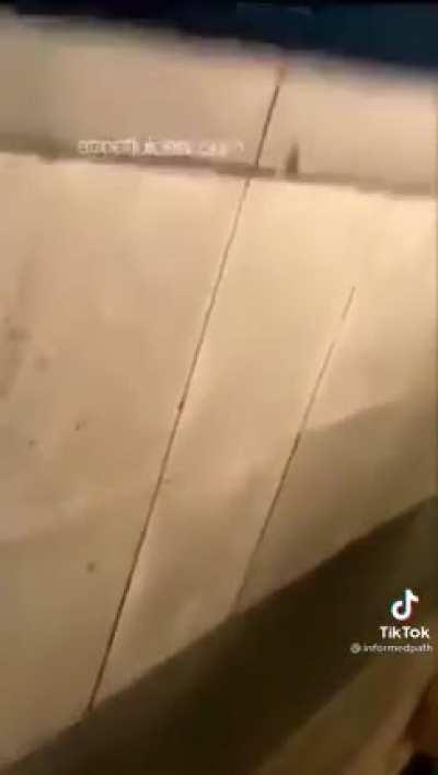 Bro said “where yo hands like” and got folded lmfao