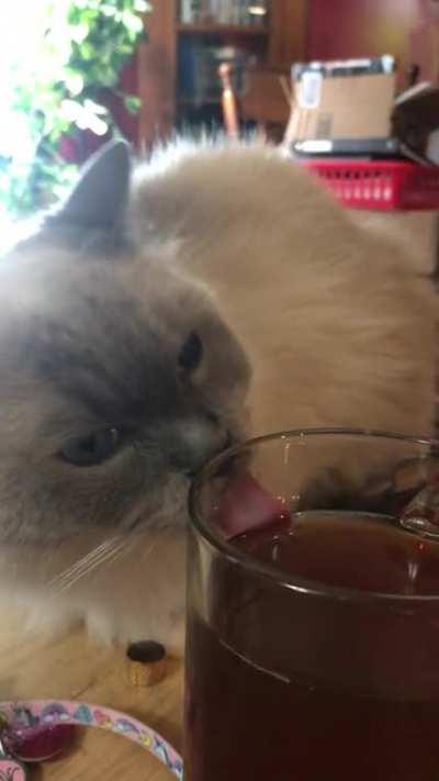 Baby seems to think she likes iced tea! XD