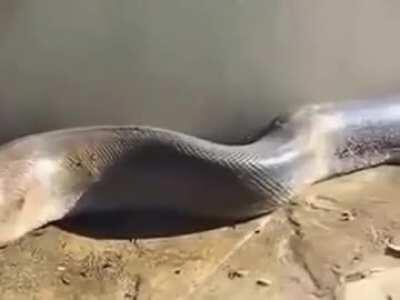 This got me twice in a row...