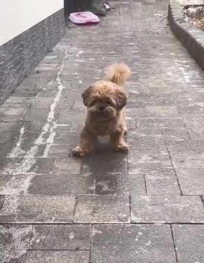 На улице гололёд, будьте осторожны!