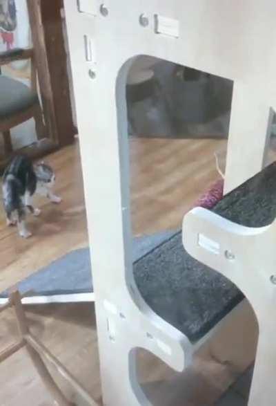 Defense mode activated.