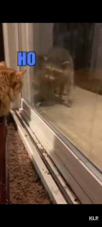 Upove to jakertown see this