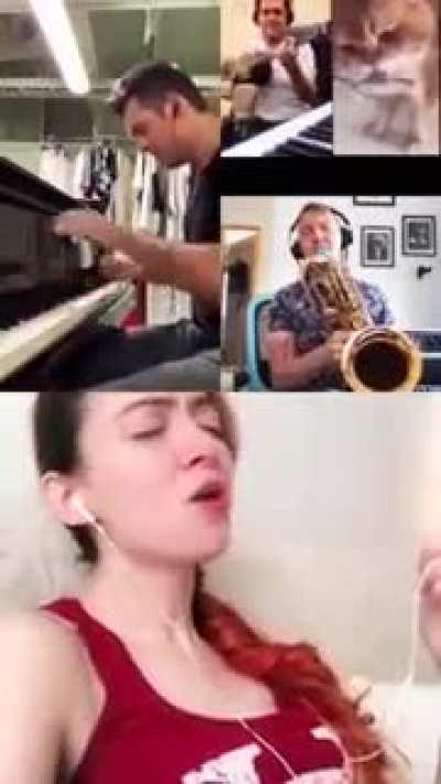 Котик и музыка