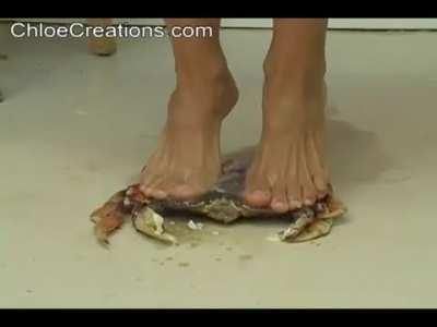 Barefoot - Crab | Maybe @Holiday_Vacation277 likes it