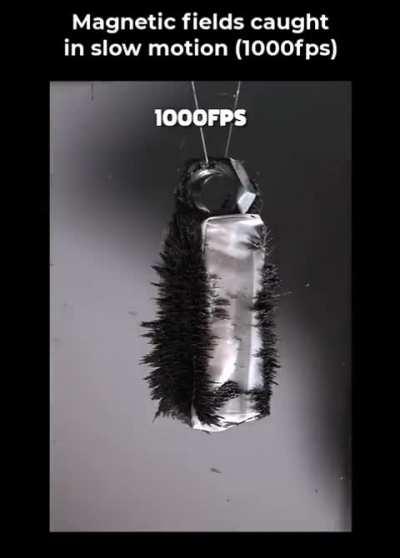 Tracing magnetic fields 